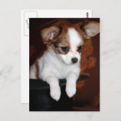 Venuspuppy Briefkaart (Voorkant / Achterkant)