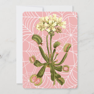 venusvliegenval bloemenspinnenweb kaart