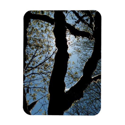 VER MAGNEET (Verticaal)