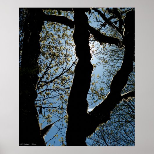 VER POSTER (Voorkant)