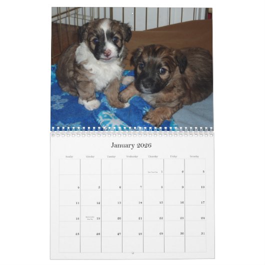 Vera en haar puppies kalender (Jan 2026)