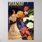 Veracruz Mexico Travel Poster (Voorkant)