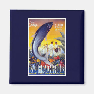 Veracruz, Vintage van Mexico Magneet