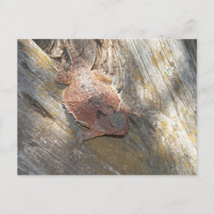 veranderde naam in "aardbei" briefkaart