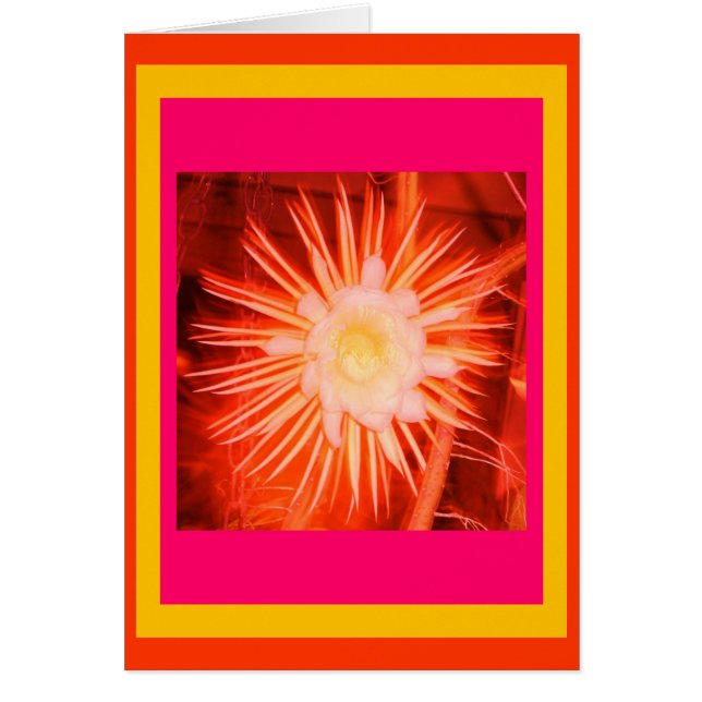 Veranderde Pertercactusventilator (Voorkant)