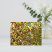 Veranderen Maple Tree Green en Gold Herfst Kleur Briefkaart (Staand voorkant)