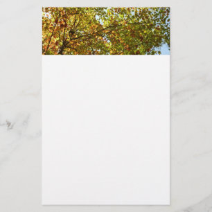 Veranderen Maple Tree Green en Gold Herfst Kleur Briefpapier