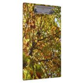 Veranderen Maple Tree Green en Gold Herfst Kleur Klembord (Rechts)