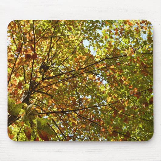 Veranderen Maple Tree Green en Gold Herfst Kleur Muismat (Voorkant)