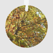 Veranderen Maple Tree Green en Gold Herfst Kleur Ornament (achterkant)