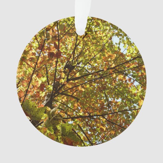 Veranderen Maple Tree Green en Gold Herfst Kleur Ornament (voorkant)