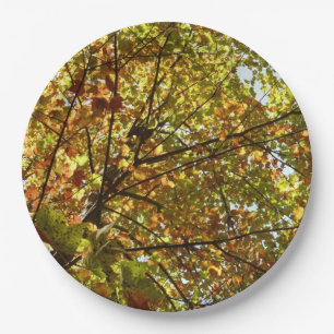 Veranderen Maple Tree Green en Gold Herfst Kleur Papieren Bordje