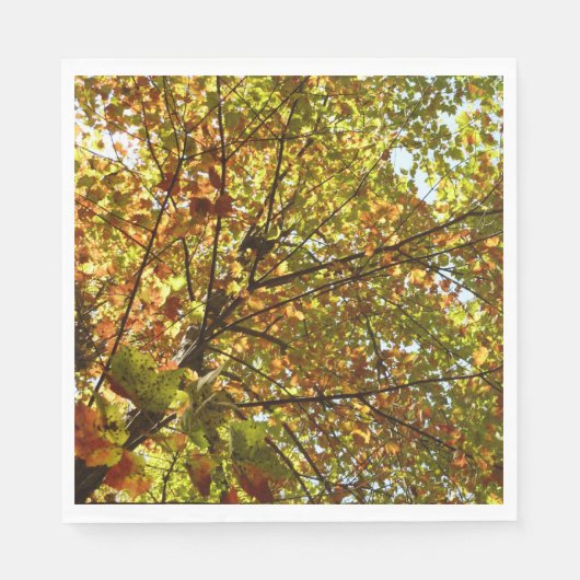 Veranderen Maple Tree Green en Gold Herfst Kleur Servetten (Voorkant)