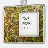 Veranderen Maple Tree Green en Gold Herfst Kleur Verzilverd Kader Ornament (Links)