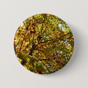 Veranderende Maple Tree Green en Gold Autumn Ronde Button 5,7 Cm
