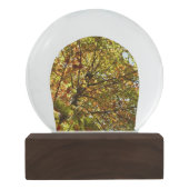 Veranderende Maple Tree Green en Gold Autumn Sneeuwbol (Achterkant)