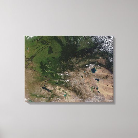 Verandering van de vegetatie canvas afdruk (Voorkant)