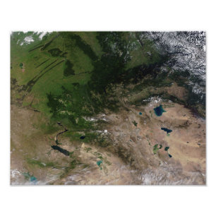 Verandering van de vegetatie foto afdruk