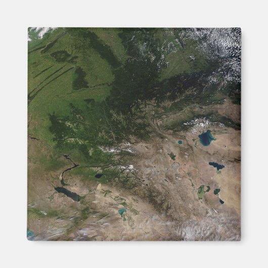 Verandering van de vegetatie magneet (Voorkant)