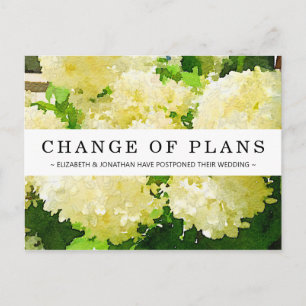 Verandering van Plannen Wit Annabelle Hydrangea Br Briefkaart