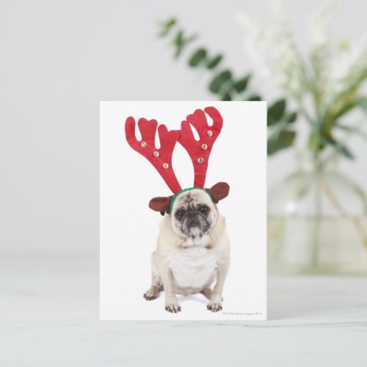 Verbaasd uitziende steker met Reindester Antlers Briefkaart (Staand voorkant)