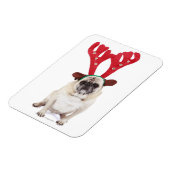 Verbaasd uitziende steker met Reindester Antlers Magneet (Linkerzijde)