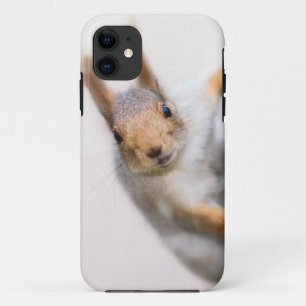 Verbazingwekkende eekhoorn iPhone 11 hoesje