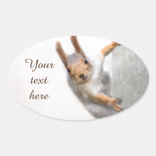 Verbazingwekkende eekhoorn ovale sticker (Voorkant)
