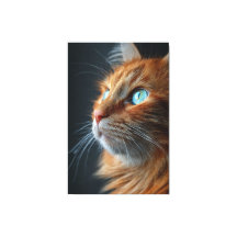 Verbazingwekkende Fluffy Sinaasappel Kat Profiel -