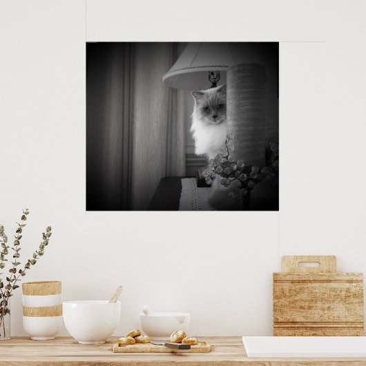Verbazingwekkende kat, poster (Keuken)