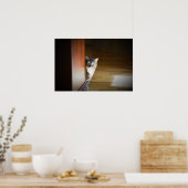 Verbazingwekkende kat, poster (Keuken)