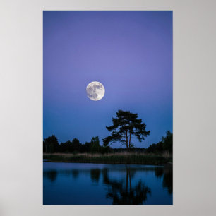 Verbazingwekkende Maan Nachtelijke Hemel Muurkunst Poster