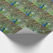 Verbazingwekkende Pauw en veren foto accessoires Cadeaupapier (Hoek)