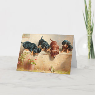 Verbazingwekkende Puppies en kikker Kaart