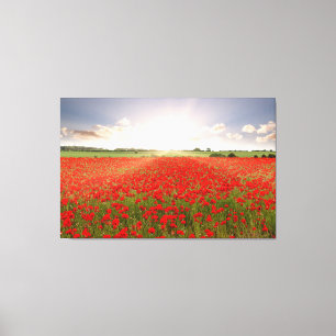 Verbazingwekkende rode papaver veld bij zonsopgang canvas afdruk