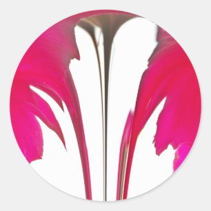 Verbazingwekkende rode roos onder de witte hemel.p ronde sticker