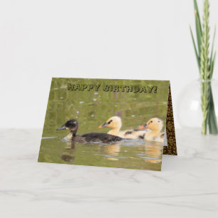 Verbazingwekkende Schattigee Ducks Verjaardag Kaar Kaart