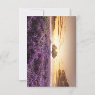 Verbazingwekkende zonsopgang enkele boom & paarse RSVP kaartje