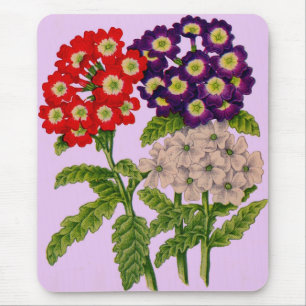 verbena bloemen in rood en paars muismat