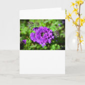 Verbena, carte (Fleur jaune)