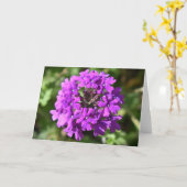 Verbena, carte (Fleur jaune)