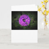 Verbena, carte (Fleur jaune)