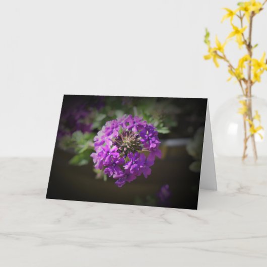 Verbena, carte (Fleur jaune)