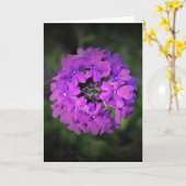 Verbena, carte (Fleur jaune)
