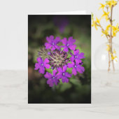 Verbena, carte (Fleur jaune)