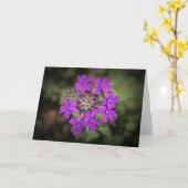 Verbena, kaart (Gele Bloem)
