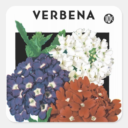 Verbena Seed Packet Label (Voorkant)