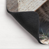 verbergen-a-kat muismat (Hoek)