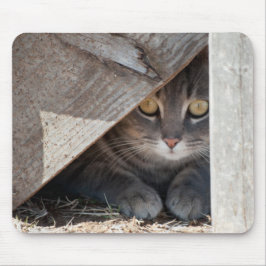 verbergen-a-kat muismat