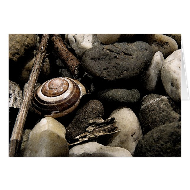 Verbergen en zoeken (Voorkant Horizontaal)